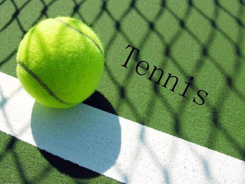 多数人会指 多数人会指